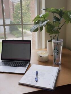 Best Digital Marketing Expert in Calicut